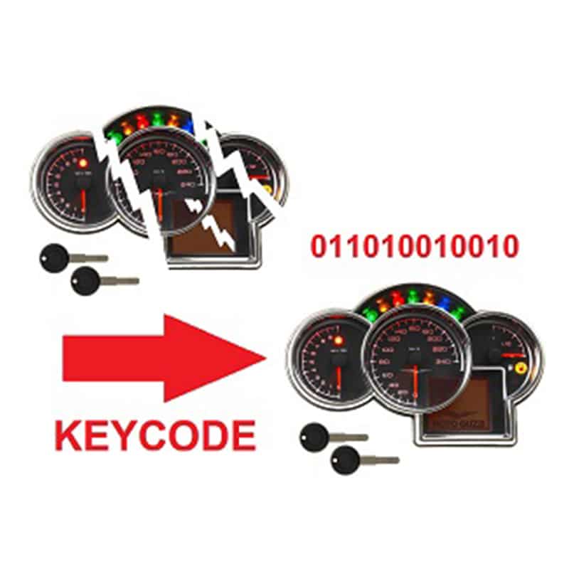 Moto Guzzi Dashboard / Counter Unit / Instrument Panel Data Transfer Service