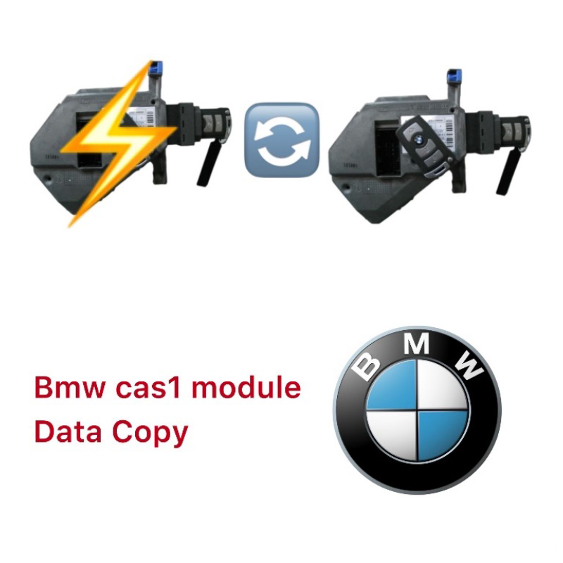 Data Transfer Service for BMW CAS1 Module